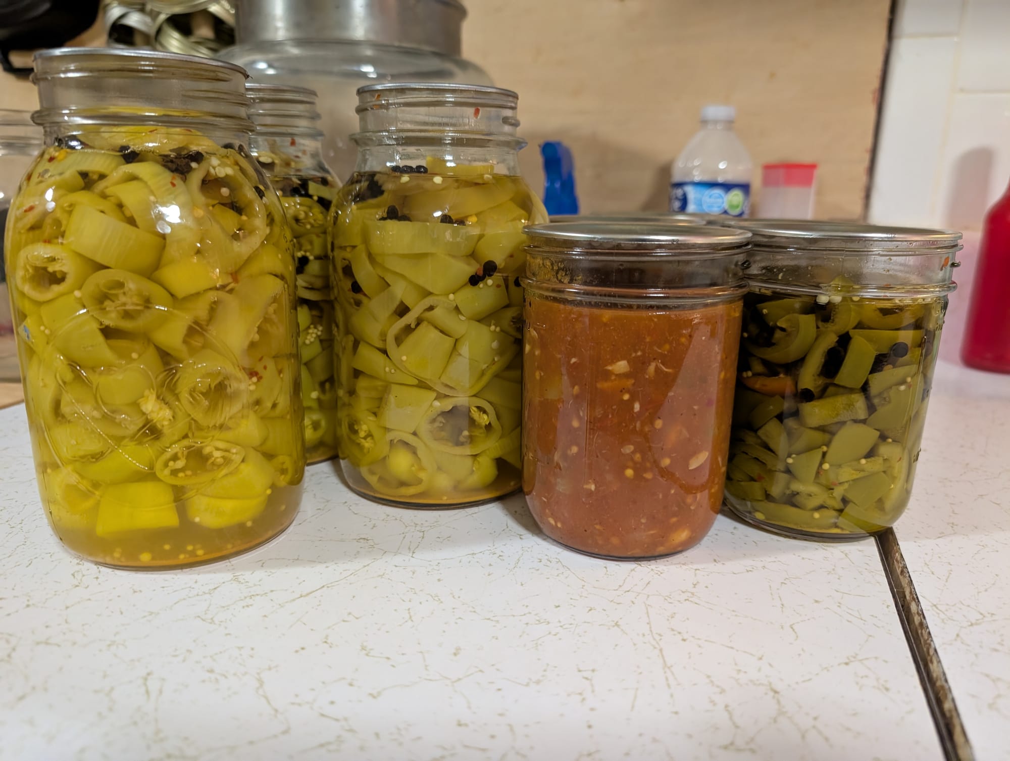 New pickles