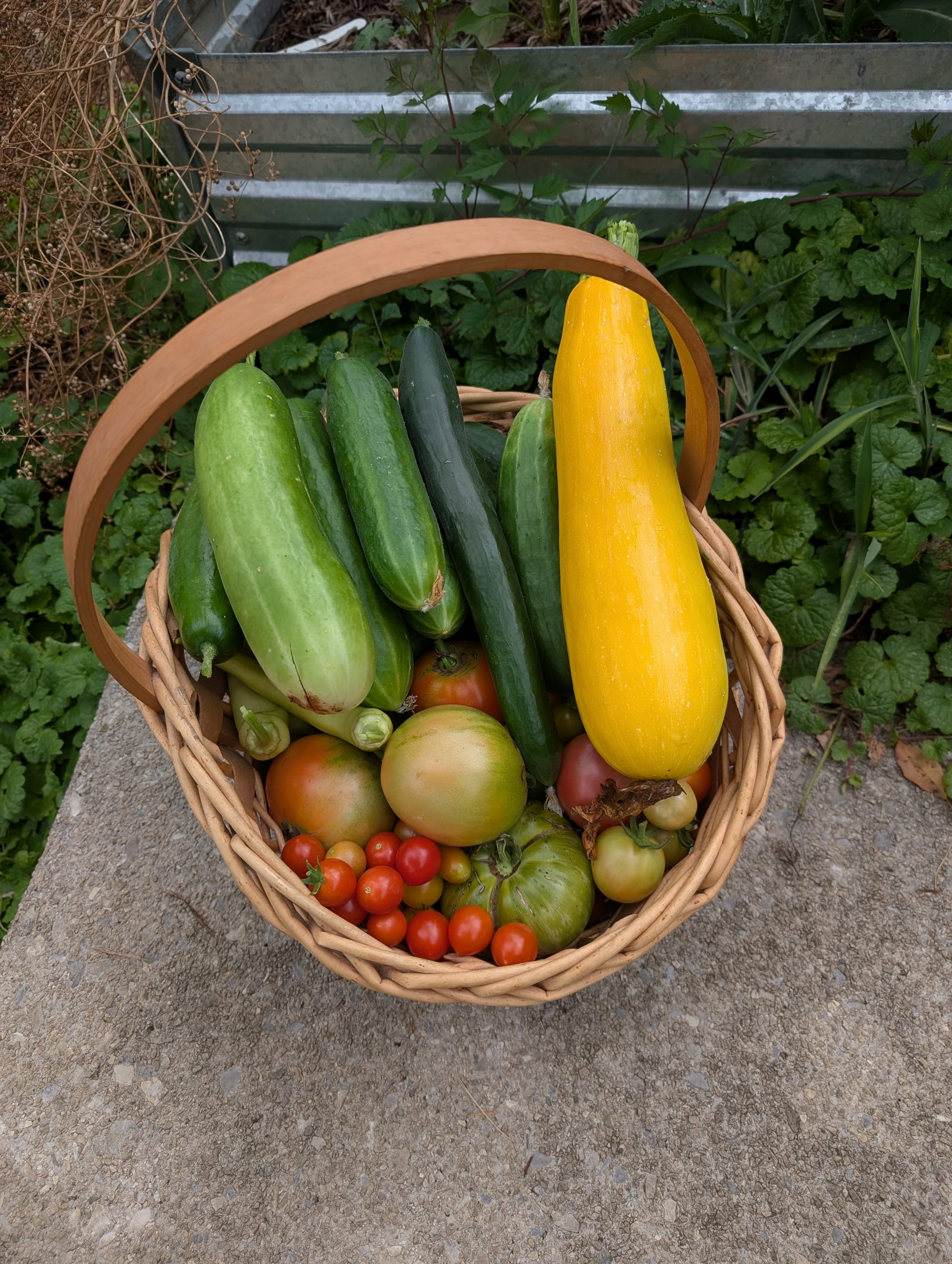 How SproutHunt Puts Our Farmstands on the Digital Map (Without the Tech Headache)