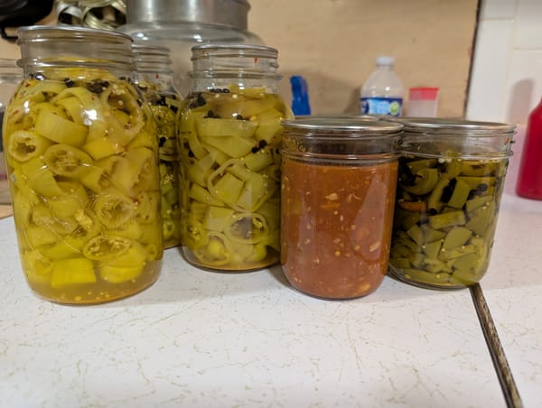 New pickles