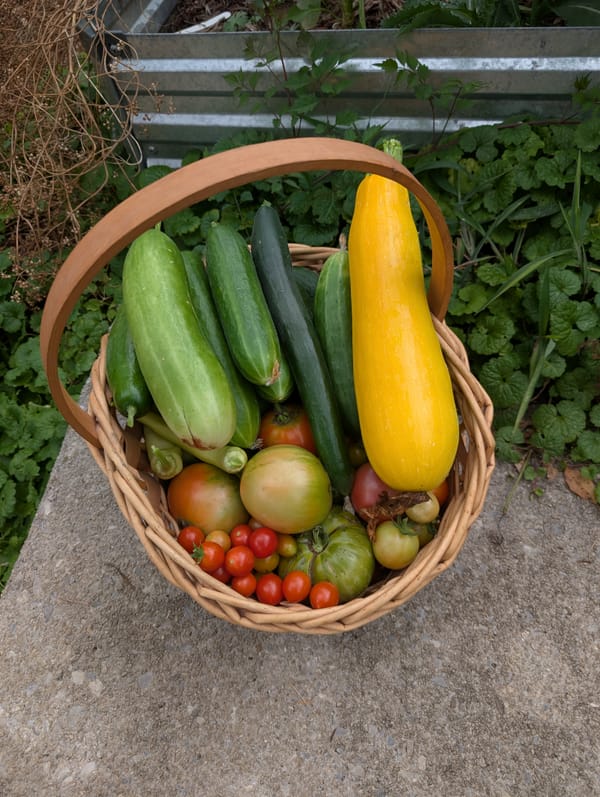 How SproutHunt Puts Our Farmstands on the Digital Map (Without the Tech Headache)